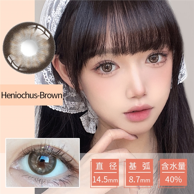 colorbaby美瞳半年抛1片装14.5大直径棕色—Heniochus-Brown