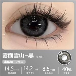 新款艾樂視美瞳半年拋2片微混血-霧面雪山黑