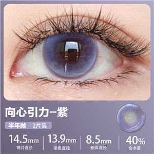 新款艾樂視美瞳半年拋2片微混血-向心引力紫