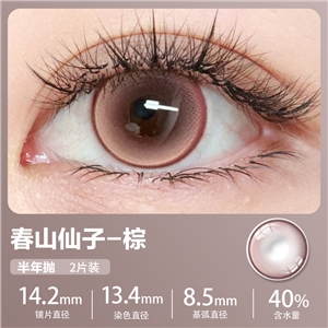 新款艾樂視美瞳半年拋2片微混血-春山仙子棕