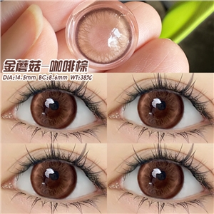 新款艾樂視美瞳半年拋2片裝自然素顏通勤款-金蘑菇咖啡棕