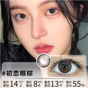 新品艾樂視美瞳日拋10片直徑14.2棕色隱形眼鏡-初戀眼棕