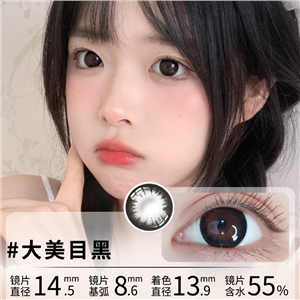 新品艾樂視美瞳日拋10片直徑14.5大直徑黑色隱形眼鏡-大美目黑