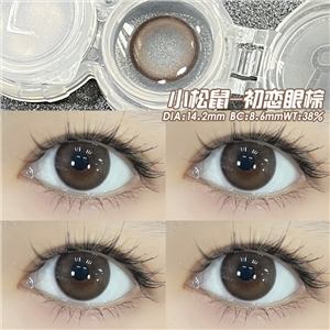 新款艾樂視美瞳半年拋2片裝自然素顏通勤款-小松鼠初戀眼棕